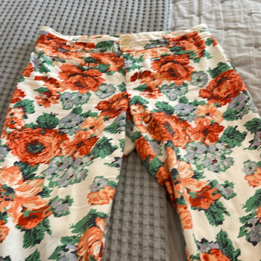 Anthropologie CARTONNIER ankle length pants sz 12